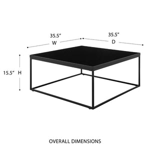 EuroStyle Teresa Square Coffee Table Lacquered Top with Stainless Steel Base for Modern Living High Gloss Black/Matte Black 09921BLK