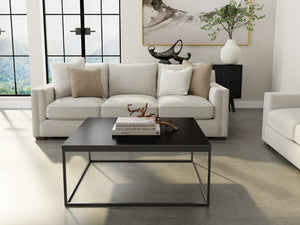 EuroStyle Teresa Square Coffee Table Lacquered Top with Stainless Steel Base for Modern Living High Gloss Black/Matte Black 09921BLK