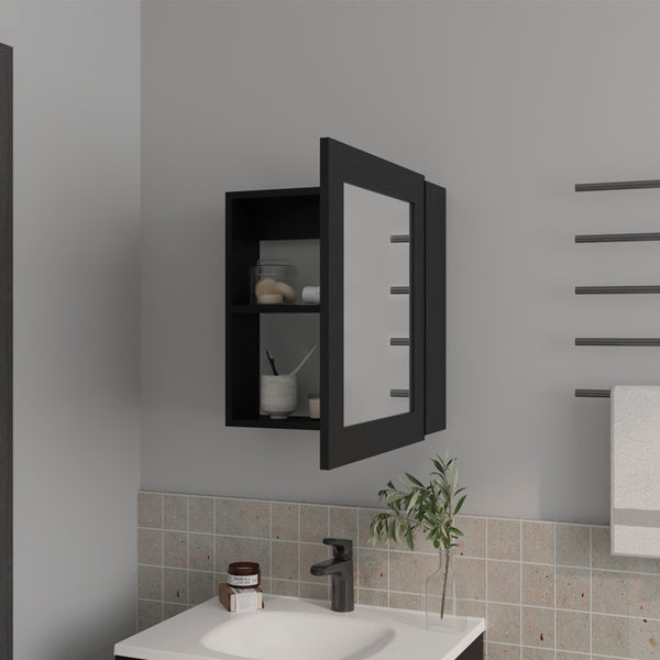 English Elm Medicine Cabinet Hailey Black — Mirrored Wall Cabinet with Two 9"x16.5" Shelves, Compact Storage Solution B092P238754