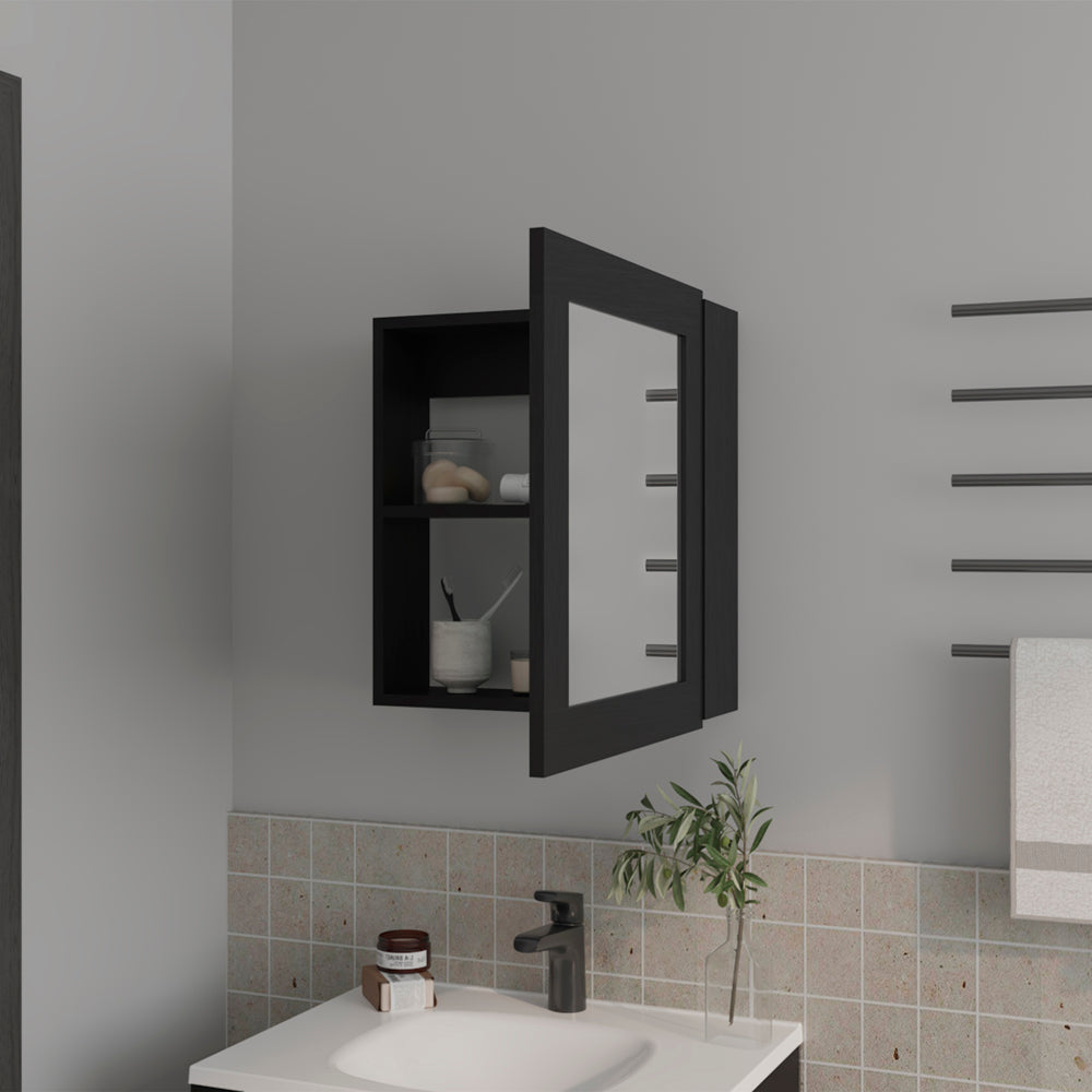 English Elm Medicine Cabinet Hailey Black Mirrored Wall Storage with Two 9"x16.5" Shelves Compact Durable Wood B092P238754