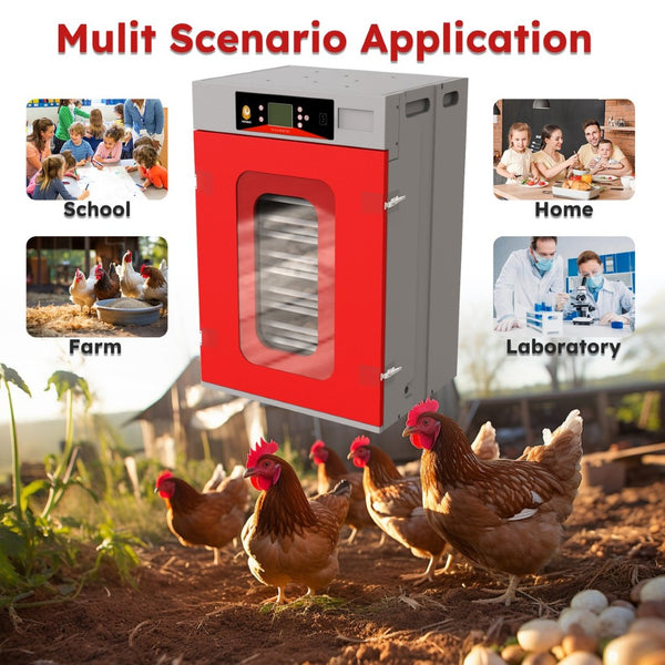 English Elm 400-egg Cabinet Incubator Auto-turning Digital Climate Control for Poultry Hatching W2700P326299