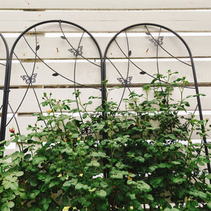 English Elm 4 Pack Powder-coated Metal Garden Trellis Panels Rustproof Climbing Plant Support Outdoor W1586P268062
