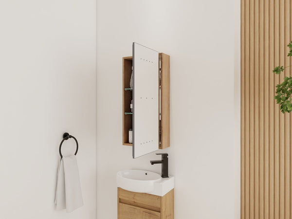 English Elm 14'' Wall Mounted Bathroom Medicine Cabinet with Adjustable Glass Shelves and Mirror Door W999P470285
