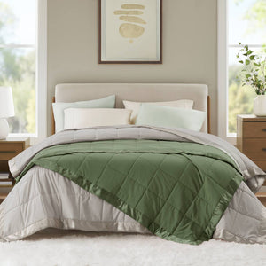 JLA Home Madison Park - Lightweight Down Alternative Blanket with Satin Trim for All-Season Comfort, Moisture-Wicking & OEKO-TEX Certified Green MP51-8646