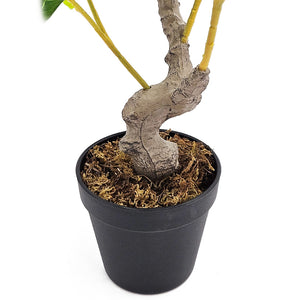 English Elm 12x12x31.5"H Artificial PEVA Lemon Tree - Lifelike Green Foliage, UV-Safe, Low-Maintenance Decor, Black Pot W2078P279115