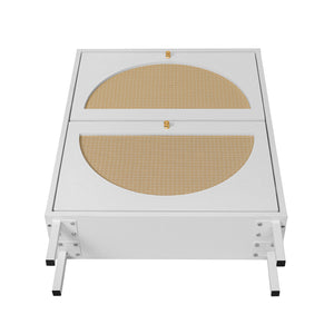 English Elm 2 Door Shoe Rack with Engineered Rattan, Metal Base & Anti-Slip Feet, Moisture-Proof, Slim 31.96"L W68850764