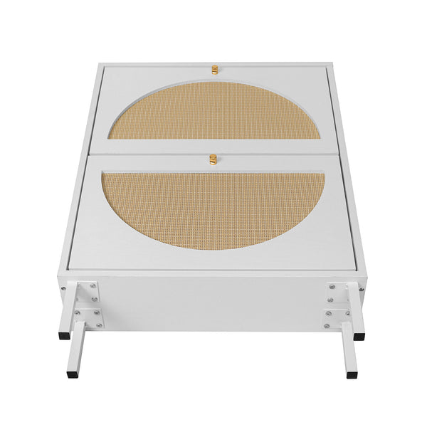 English Elm 2 Door Shoe Rack with Engineered Rattan, Metal Base & Anti-Slip Feet, Moisture-Proof, Slim 31.96"L W68850764