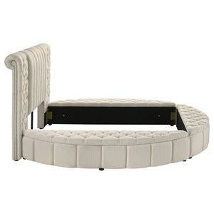 English Elm Santiago Boucle Queen Bed with Curved Frame Tufted Storage Base and Usb Charging B062S01673