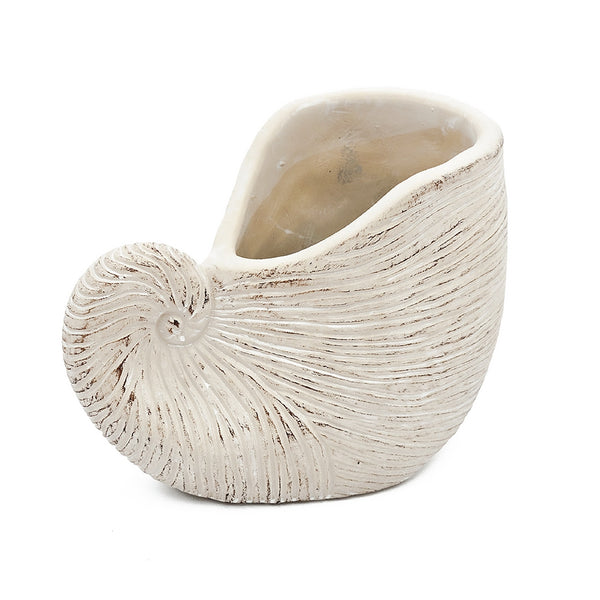 English Elm 8.5x5.5x6.3" Sand and Cement Nautilus Shell Planter, Textured Beige Coastal Decor for Succulents and Herbs W2078P334177