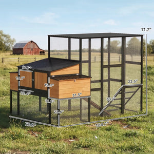 English Elm Spacious Fir Wood Backyard Chicken Coop with Walk-in Run and Dual Nesting Boxes T3971S00216