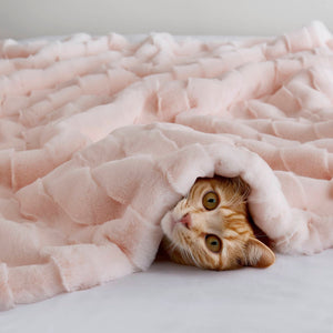 JLA Home Madison Park - Faux Faux Fur Throw Madison Park — Luxe basket-weave plush, Oeko‑Tex certified, machine washable comfort Pink MP50-8798