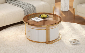 English Elm Modern Round Nesting Coffee Table Set with Gold Pedestal Legs and Storage Drawers Brown,White N735P349323D