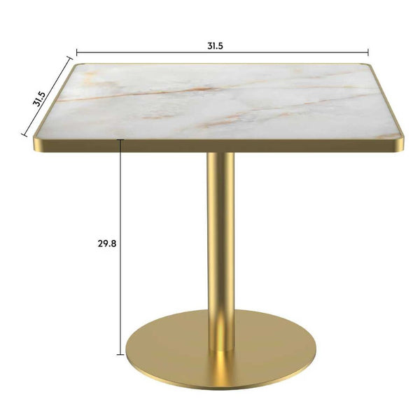 English Elm Square Modern Dining Table - 31.5" Faux Marble Bistro Table With Sturdy Metal Frame, Easy Assembly W3316P375693-GIGA