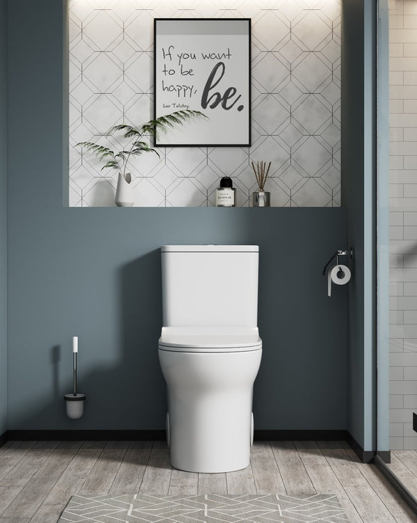 English Elm 1.1/1.6 Gpf Elongated Ceramic One-piece Toilet Skirted Base Comfort Height Soft Close B2724P246930