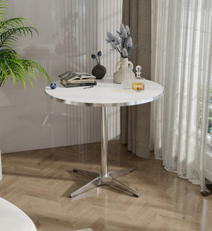 English Elm Modern Circular Dining Table | Minimalist 31.4" Round Accent Table for Kitchen, Living & Home Office, Stainless Steel Base, 170 lb Capacity W2565P248234
