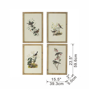 English Elm S/4 Bird Framed Print Set with Brown Fir Wood Frames, Four Nature Bird Artworks for Transitional Decor W2078P205314
