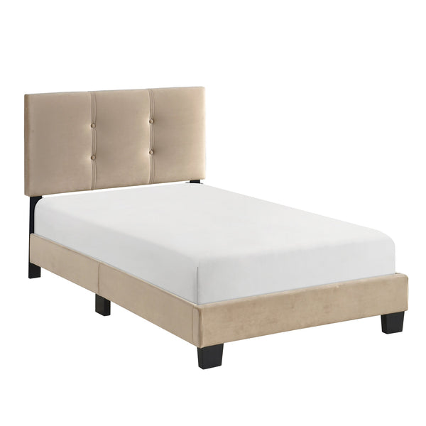 English Elm 1pc Twin Platform Bed Velvet Upholstered Button-Tufted Headboard Adjustable Height Low-Profile Solid Wood Frame 42" x 79.5" Light Brown 44.5 L x 26 W x 5 H B011P203575