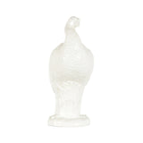 Turkey White/Cream 385577 Chelsea House