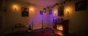 English Elm 3 Pack Halloween Spooky Tree Set with Purple LED Lights, 4ft‑6ft Hinged UV‑Resistant Indoor Decor (96) PX283443AAF