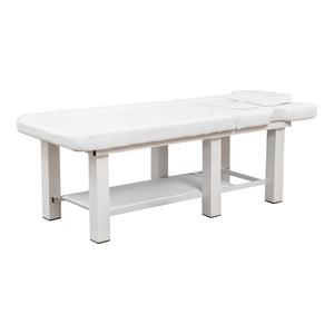 English Elm Spa Salon Massage Table Steel Frame Pu Leather Adjustable Backrest Bottom Shelf Storage W1422P382936
