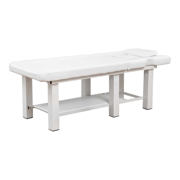 English Elm Spa Salon Massage Table Steel Frame Pu Leather Adjustable Backrest Bottom Shelf Storage W1422P382936