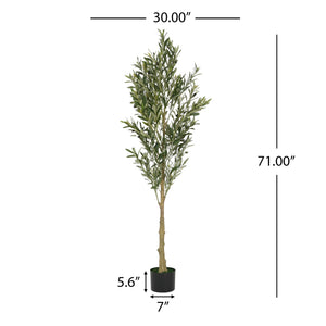 English Elm Christopher Knight Home® - 6' Olive Tree Faux Plant with Pre-Potted Black Plastic Base, Lifelike Leaves, Low Maintenance Décor Green N772P286766G