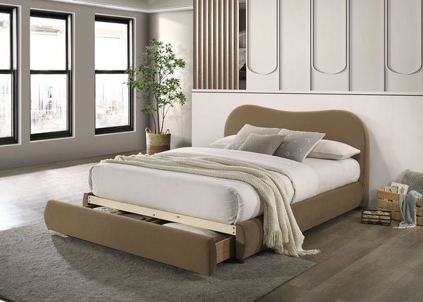 English Elm Beautiful Curved Upholstered Queen Bed with Built-In Footboard Drawer, Solid Wood Frame, Elegant Upholstery Brown 40 L x 21 W x 15 H B2741S00715