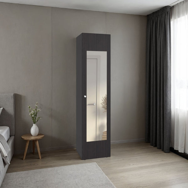 English Elm Home Freestanding Tall Mirrored Cabinet with Four Interior Shelves for Bedroom Bath Dark Walnut B200P465724