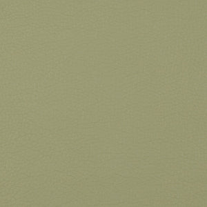 OSP Home Furnishings Pacific Faux Leather Contemporary Sofa with Chrome Legs for Modern Living Spaces Sage PAC53-R106