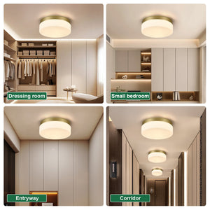 English Elm 1 LED Flush Mount Ceiling Light Fixture 24W 12 Inch Round Surface Lamp Energy Saving 3-Mode Durable Safety Rated Gold W2312P375010