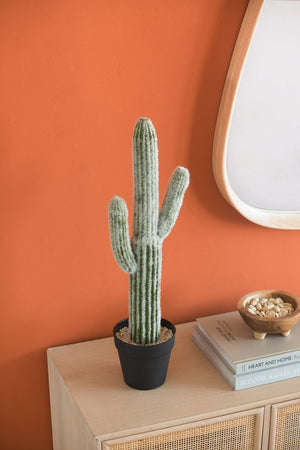 English Elm 8x5x24.5"H Lifelike Saguaro Cactus in Black Pot — Textured Two-Tone Artificial Plant for Low-Light Décor W2078P294239