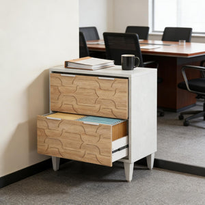English Elm 2-drawer File Cabinet with Reinforced Top White Grey Modern Home Office Storage T3971P451351