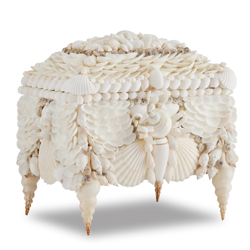 Boardwalk Exquisite Victorian Shell Jewelry Box with Handmade Coastal Design for Elegant Storage