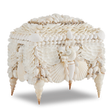 Boardwalk White Shell Jewelry Box