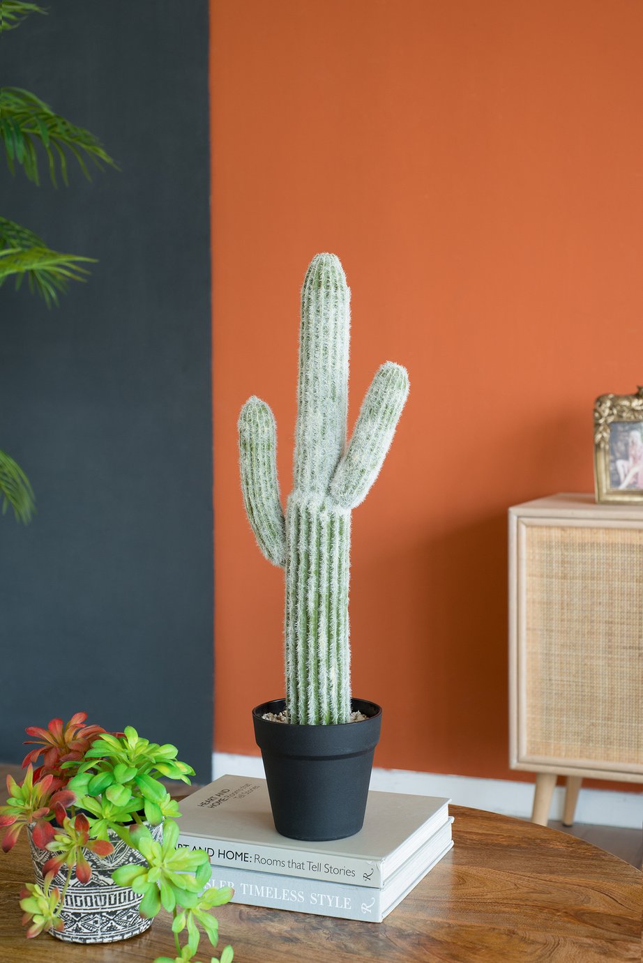 English Elm 8x5x24.5"H Lifelike Saguaro Cactus in Black Pot — Textured Two-Tone Artificial Plant for Low-Light Décor W2078P294239