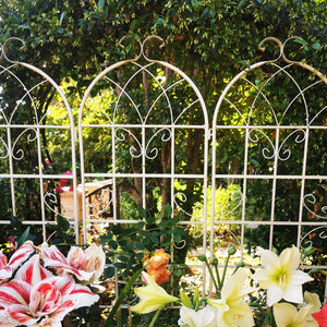 English Elm 4 Pack Galvanized Steel Garden Trellis Panels Powder Coated Cream White Climbing Plant Support W1586P147434