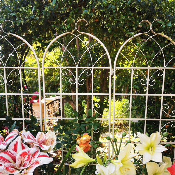 English Elm 4 Pack Galvanized Steel Garden Trellis Panels Powder Coated Cream White Climbing Plant Support W1586P147434