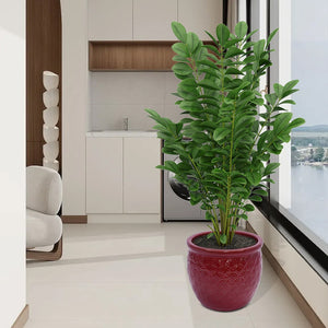 English Elm Set Of 3 Ceramic Flowerpots - Artisan Modern Planters For Garden, Patio & Windowsill Decor! W3273P321489-GIGA