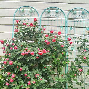 English Elm 4 Pack Ornamental Steel Garden Trellises Rustproof Climbing Plant Outdoor Support Panels W1586135959