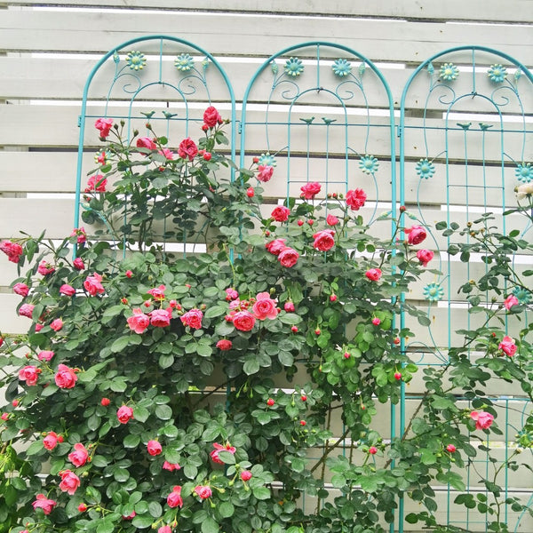English Elm 4 Pack Ornamental Steel Garden Trellises Rustproof Climbing Plant Outdoor Support Panels W1586135959