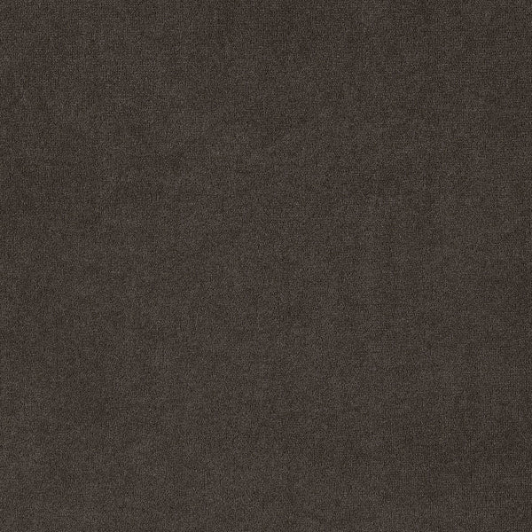 English Elm 2pc Plush Button-Tufted High Back Dining Chairs with Rolled Top, Nailhead Trim and Tapered Legs Brown,Espresso 42.5 L x 13 W x 19.25 H B011P311394