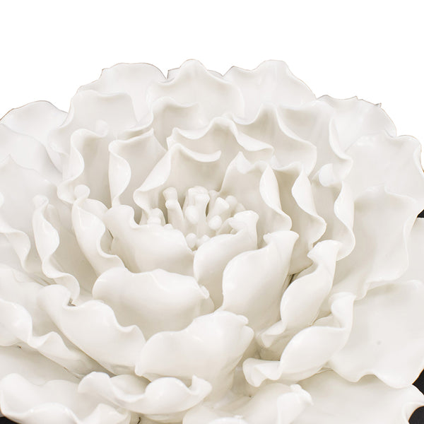 English Elm D7.3x2.8" Handmade Cream Ceramic Flower Wall Decor Accent — Sculptural Neutral Petal Art for Versatile Rooms W2078P293124