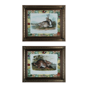 Rabbits Framed Wall Art - Set of 2 10048-S2 Elk Home