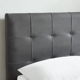 !nspire Extara 60" Platform Storage Bed Grey Grey Fabric