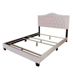 Worldwide Home Furnishings Pixie-60'' Modern Upholstered Bed With Elegant Button Tufting & Nail Head Detailing For Stylish Spaces Blush Pink Velvet 101-296q-bsh