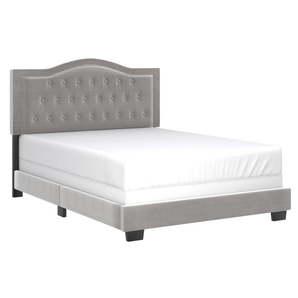 Worldwide Home Furnishings Pixie-60'' Modern Upholstered Bed With Elegant Button Tufting & Nail Head Detailing For Stylish Spaces Light Grey Velvet 101-296q-lgy