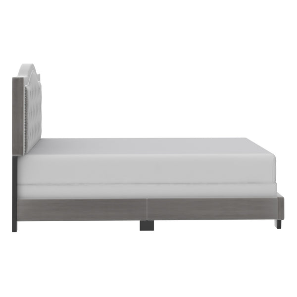 Worldwide Home Furnishings Pixie-60'' Modern Upholstered Bed With Elegant Button Tufting & Nail Head Detailing For Stylish Spaces Light Grey Velvet 101-296q-lgy