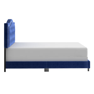 Worldwide Home Furnishings Pixie-60'' Modern Upholstered Bed With Elegant Button Tufting & Nail Head Detailing For Stylish Spaces Blue Velvet 101-296q-nav