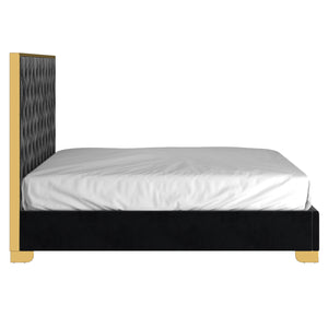 Worldwide Home Furnishings Lucille-78'' Bed - Luxurious Velvet Upholstered Design With Stylish Button Tufting & Metal Legs Black,Gold Velvet,Metal 101-596k-bk_Gl