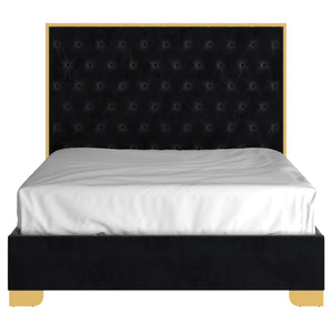 Worldwide Home Furnishings Lucille-60'' Bed: Luxurious Velvet Upholstered Design With Polished Stainless Steel Legs For Style Black,Gold Velvet,Metal 101-596q-bk_Gl